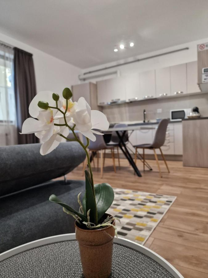 Vic Apartament Drobeta Turnu Severin Eksteriør bilde