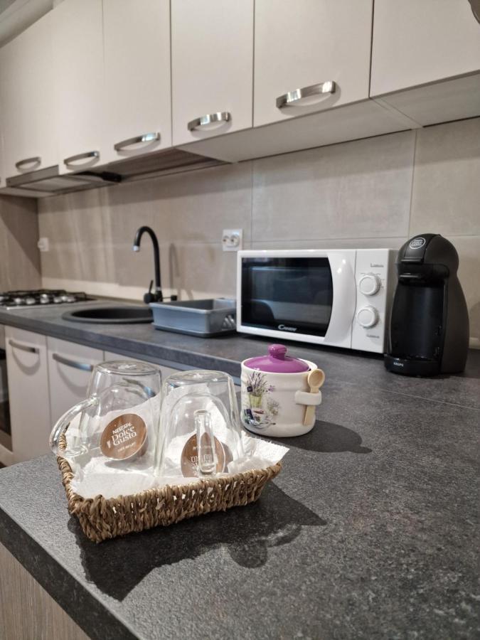 Vic Apartament Drobeta Turnu Severin Eksteriør bilde