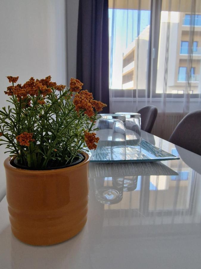 Vic Apartament Drobeta Turnu Severin Eksteriør bilde